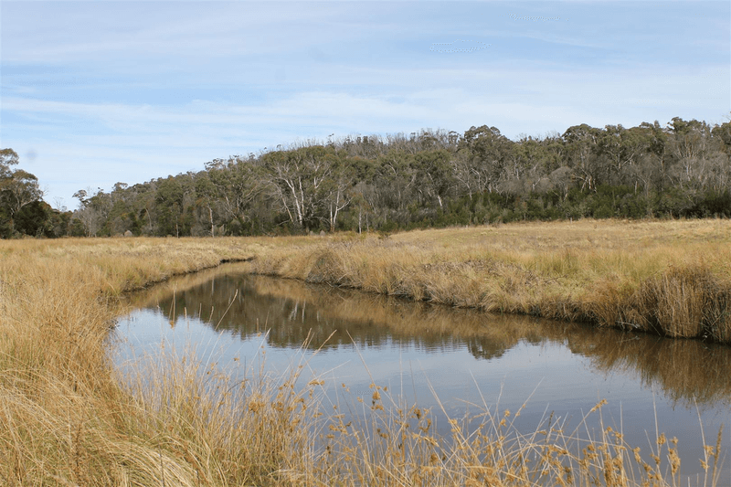 Lot 27 Haughton Road, Braidwood, NSW 2622