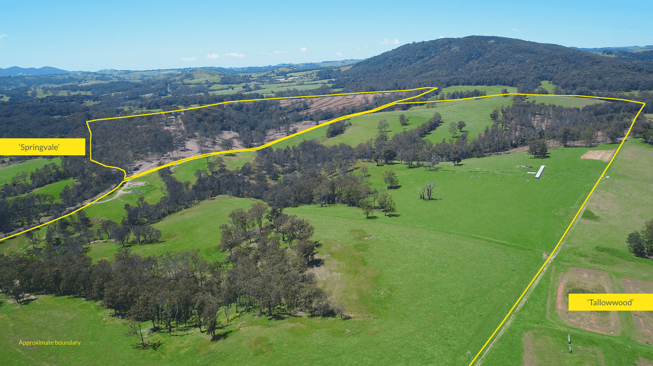 1591 Tyringham Road, DORRIGO, NSW 2453