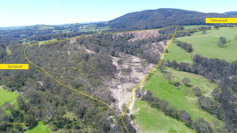 1591 Tyringham Road, DORRIGO, NSW 2453