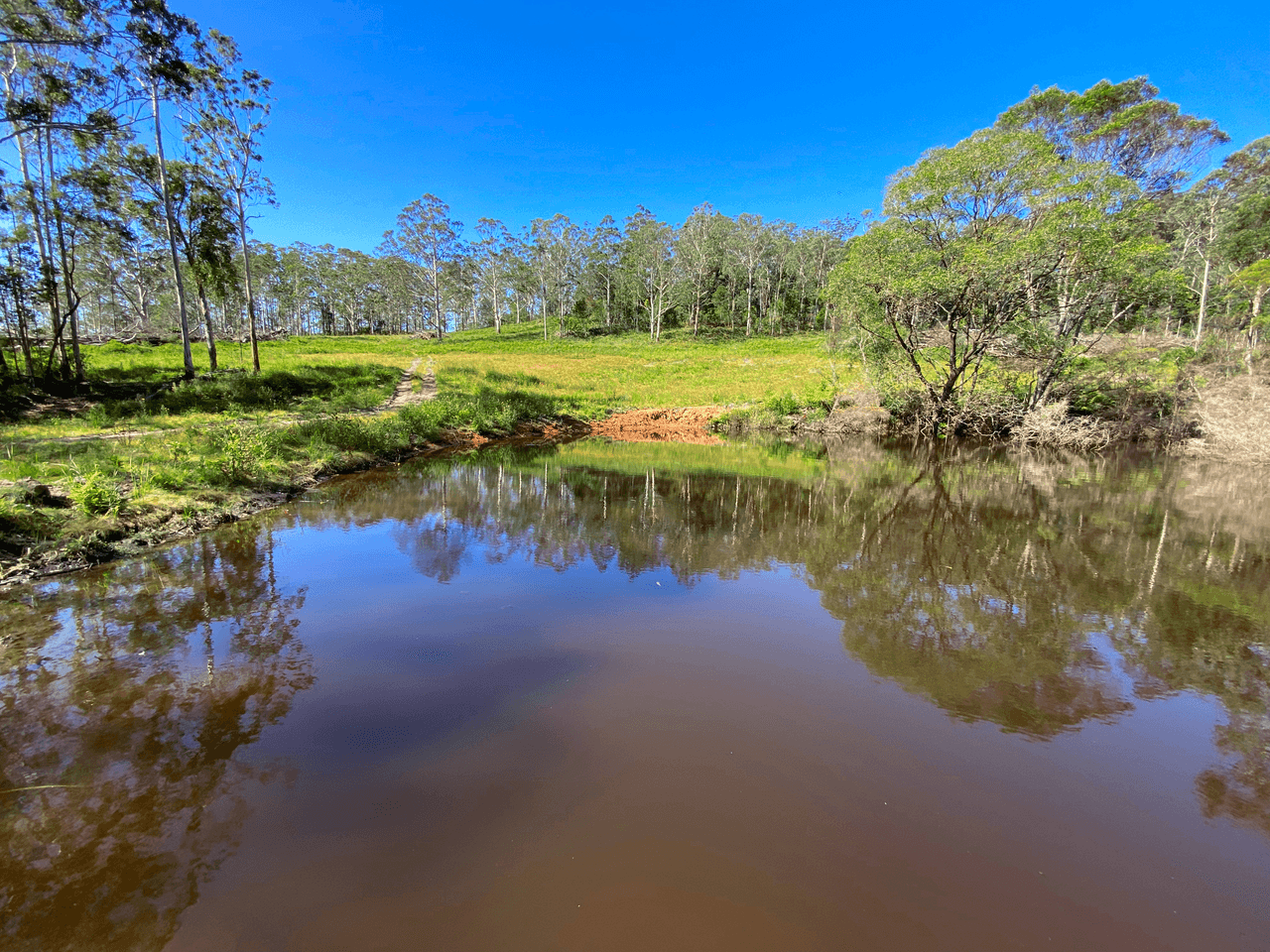 1591 Tyringham Road, DORRIGO, NSW 2453