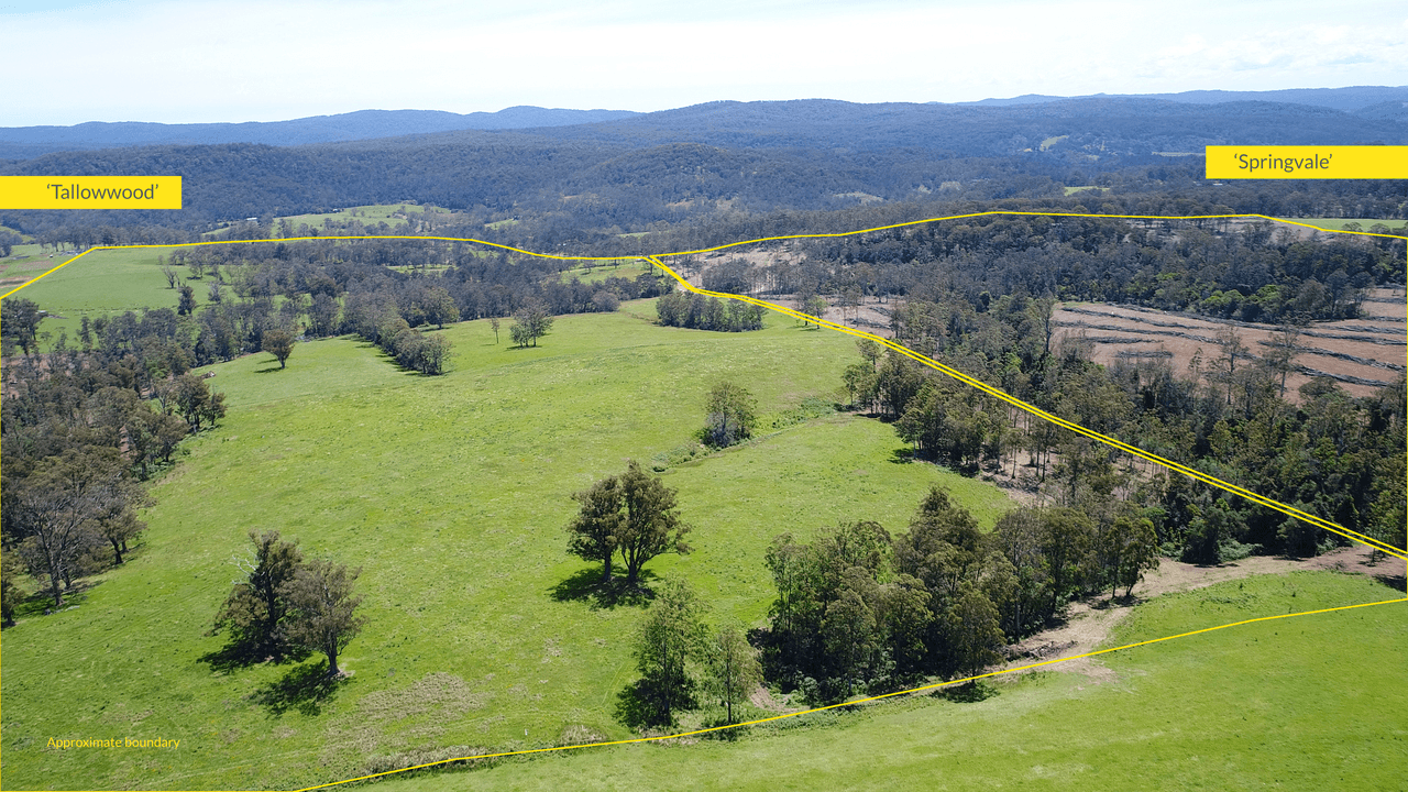 1591 Tyringham Road, DORRIGO, NSW 2453