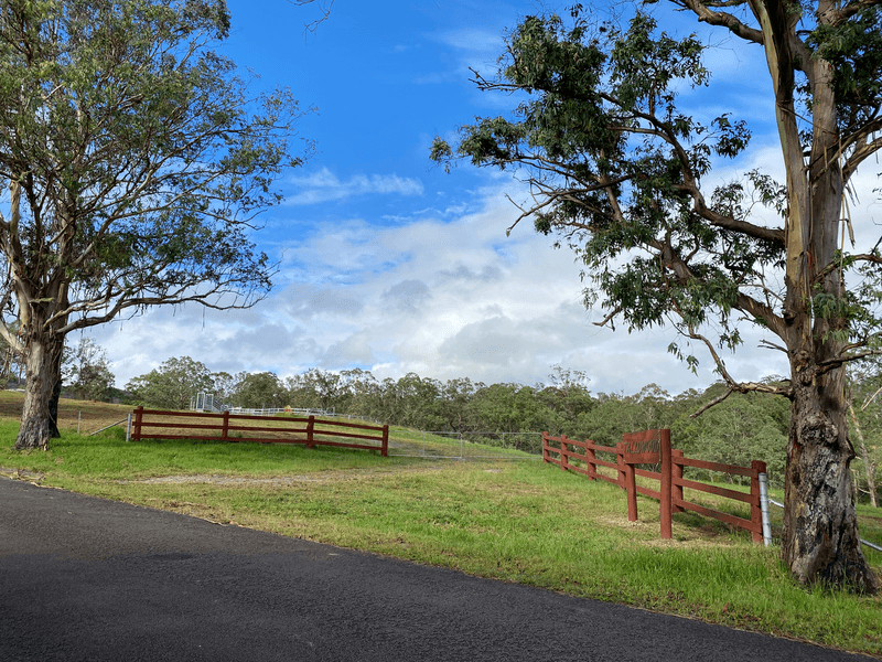 1591 Tyringham Road, DORRIGO, NSW 2453