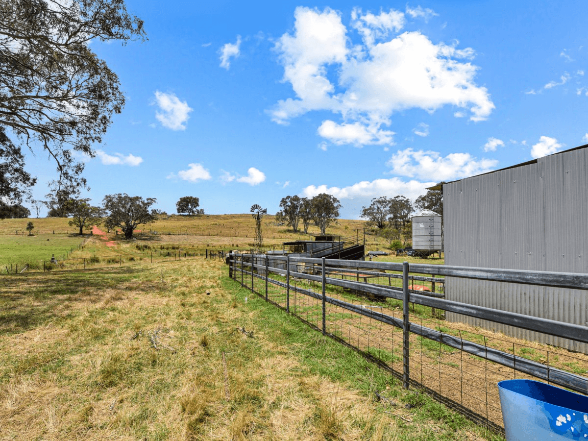 1478 Wombat Road, Wombat via, YOUNG, NSW 2594