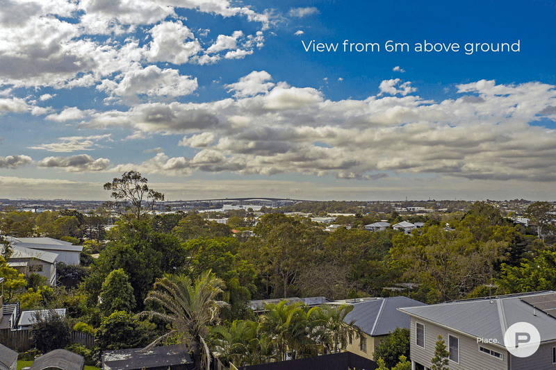 17 Apex Street, Balmoral, QLD 4171