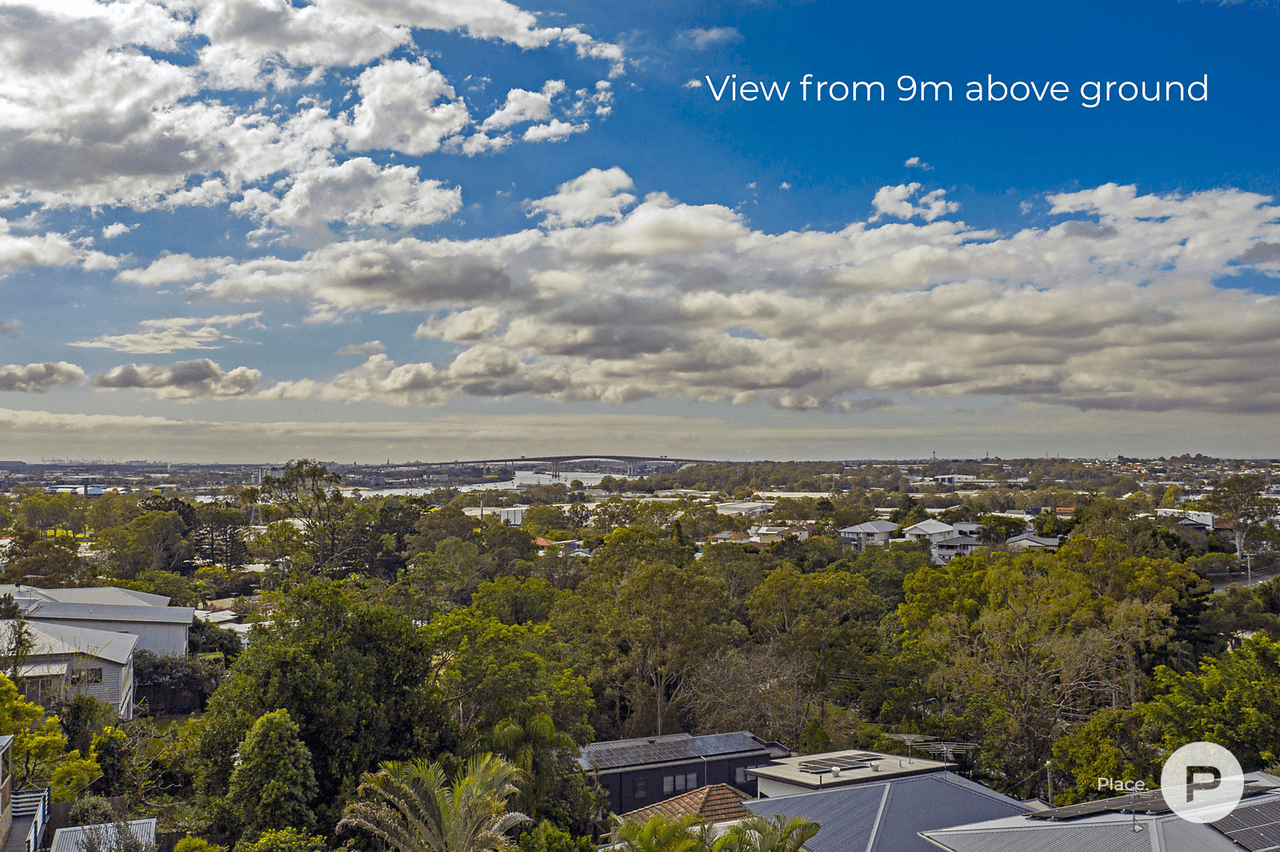 17 Apex Street, Balmoral, QLD 4171