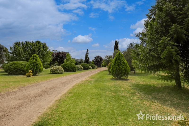 31 Gregadoo Road, LAKE ALBERT, NSW 2650