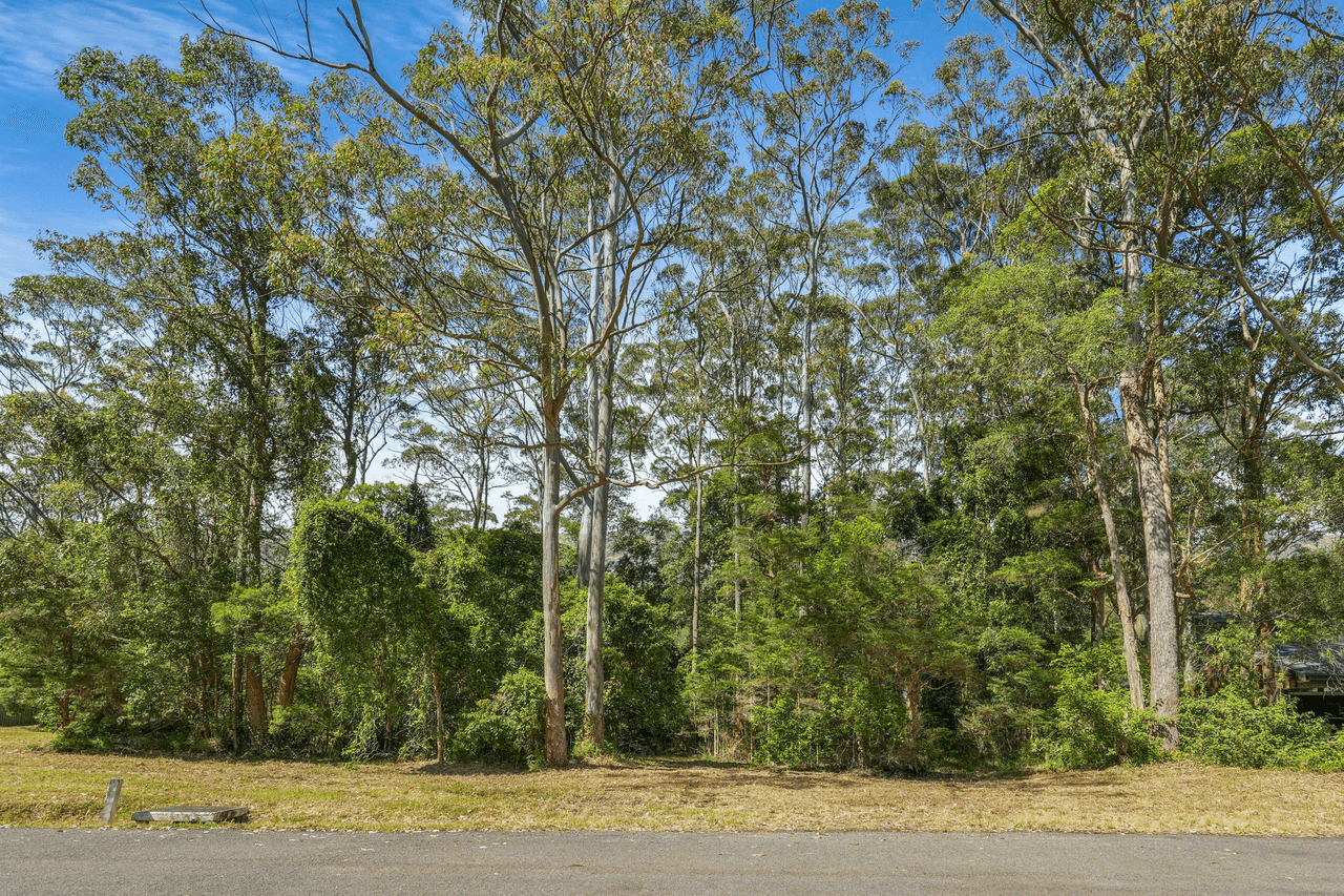 82 Yarram Road, BENSVILLE, NSW 2251