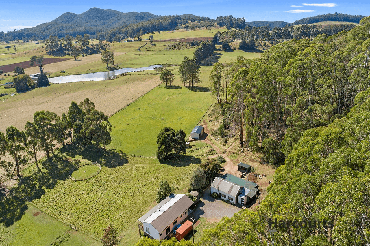 101 Vinegar Hill Road, Sheffield, TAS 7306