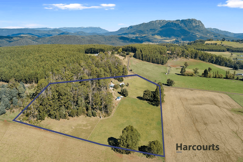 101 Vinegar Hill Road, Sheffield, TAS 7306