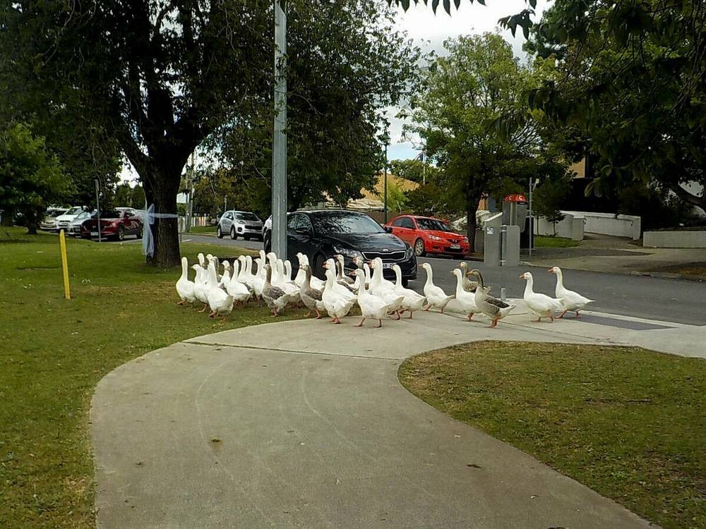 69 Bolithos Road, Riddells Creek, VIC 3431