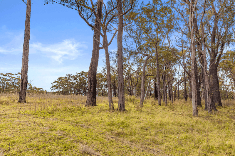 240 Buxton Avenue, BUXTON, NSW 2571