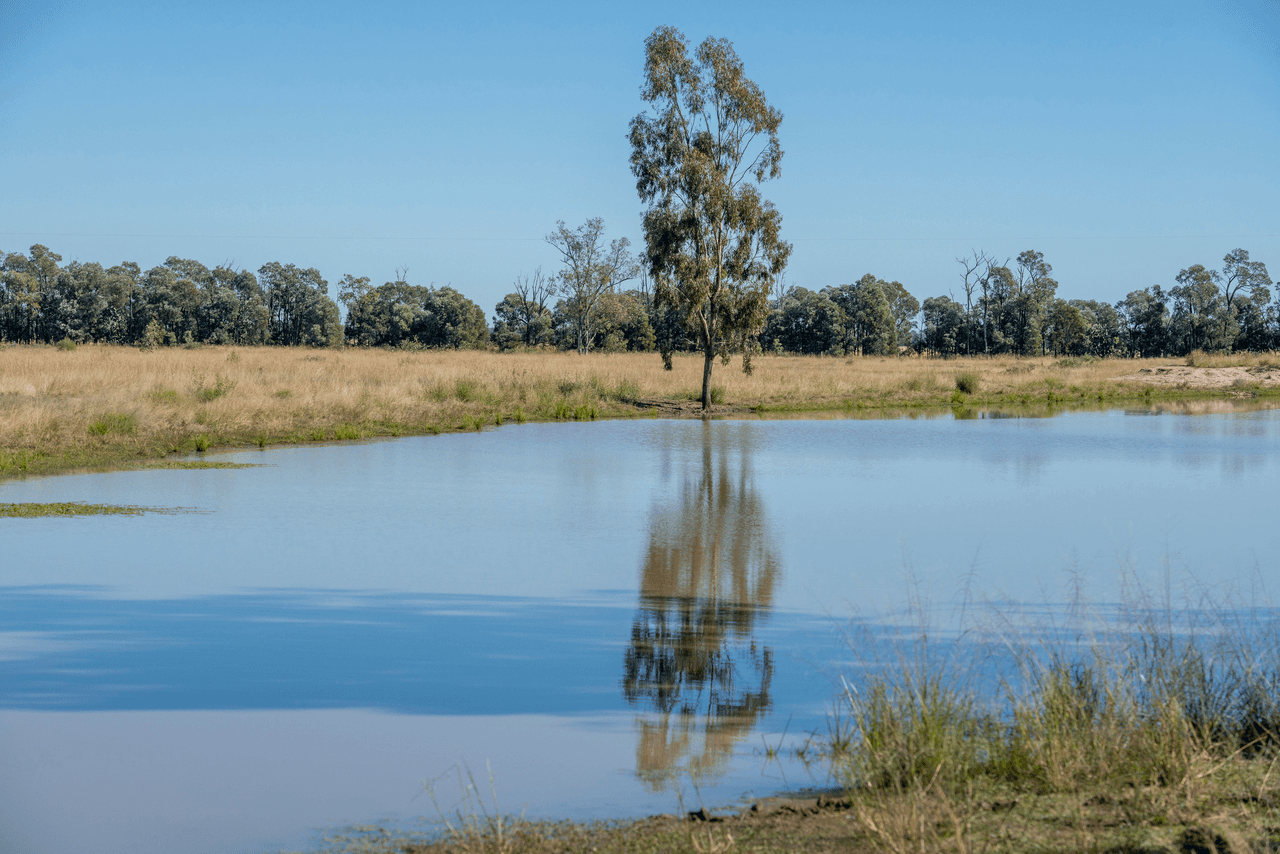 'Pine Hill', CHINCHILLA, QLD 4413