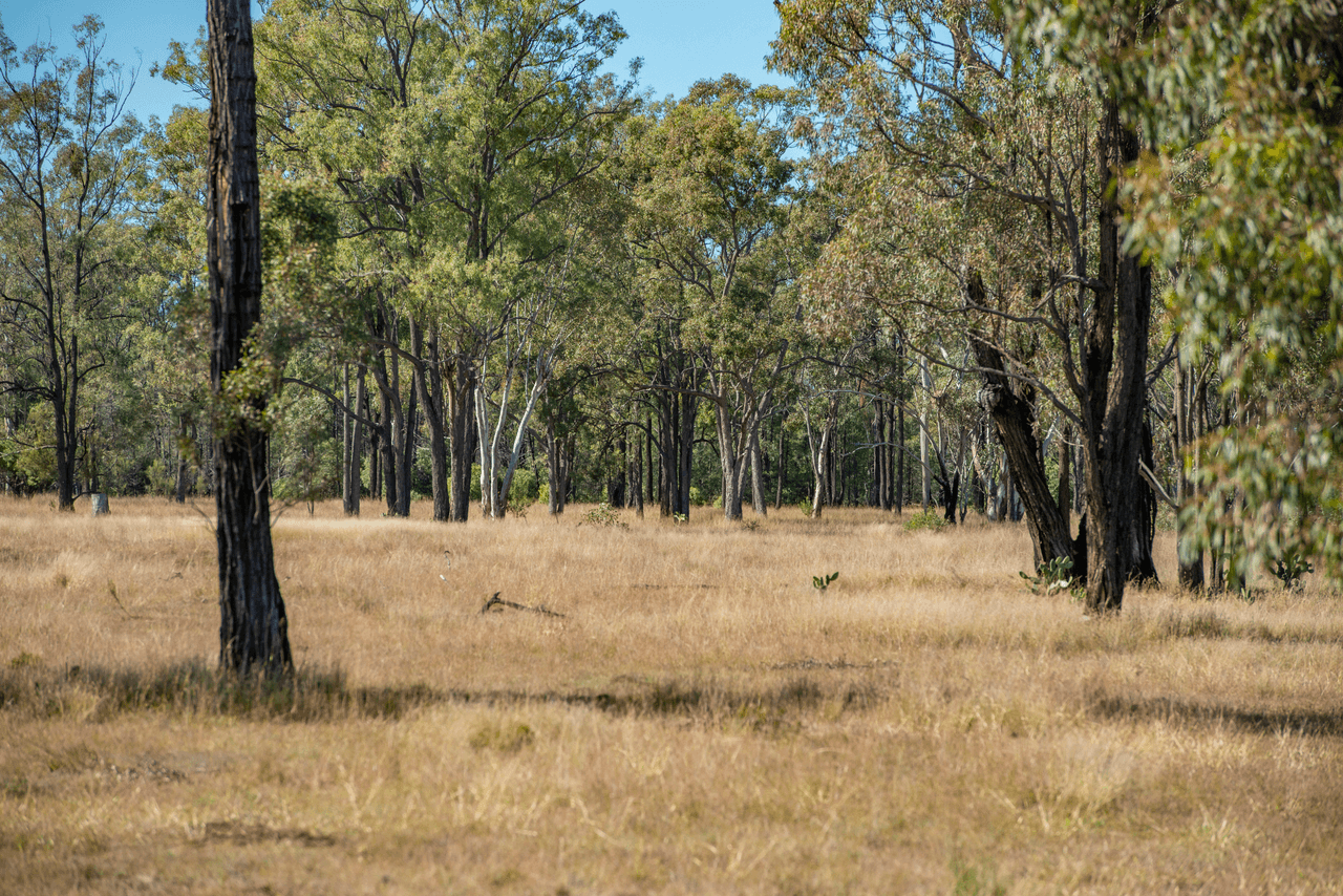 'Pine Hill', CHINCHILLA, QLD 4413