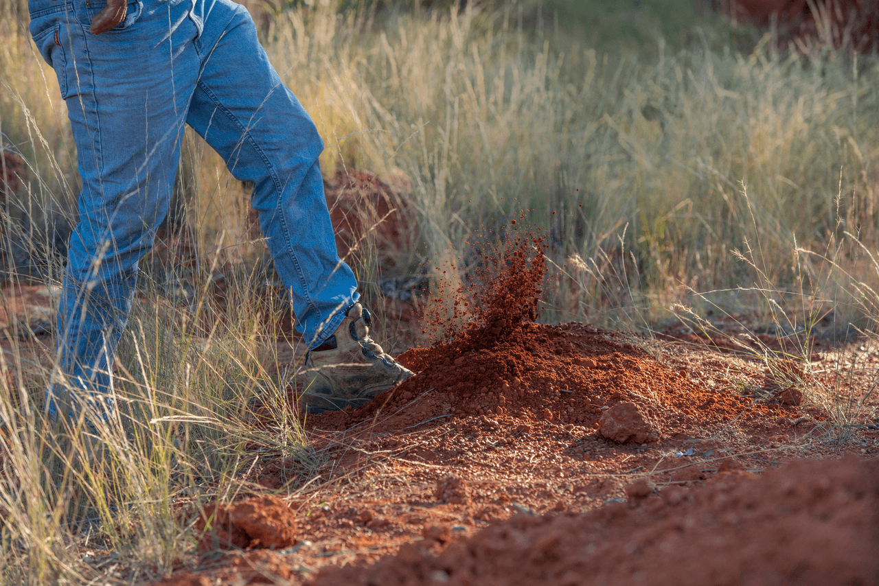 'Pine Hill', CHINCHILLA, QLD 4413