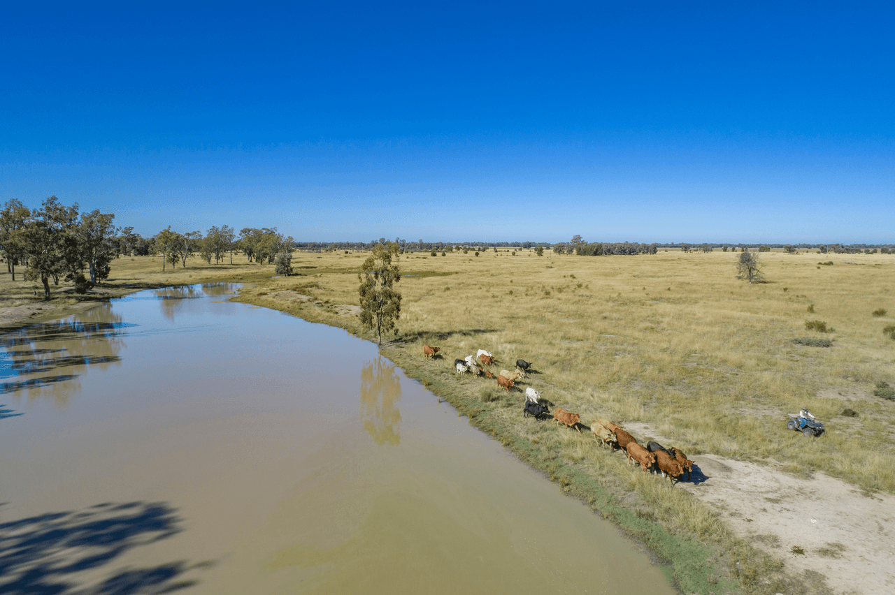 'Pine Hill', CHINCHILLA, QLD 4413