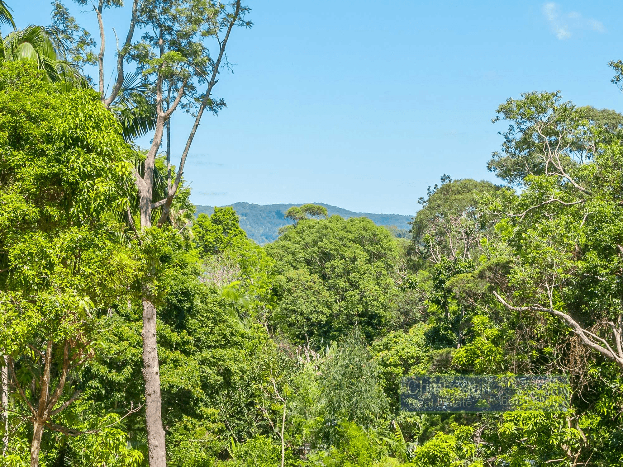 16A Azalea Street, MULLUMBIMBY, NSW 2482