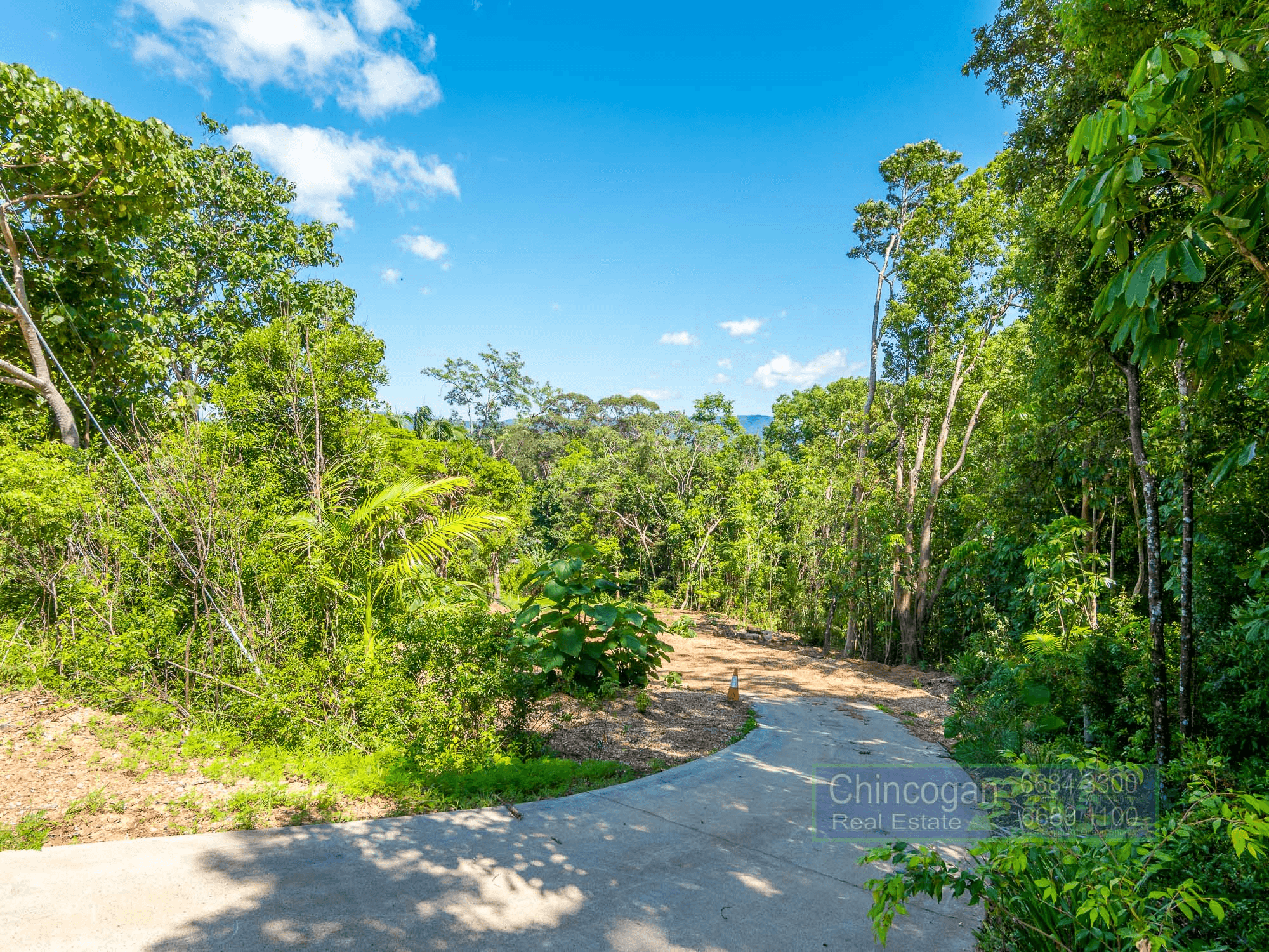 16A Azalea Street, MULLUMBIMBY, NSW 2482