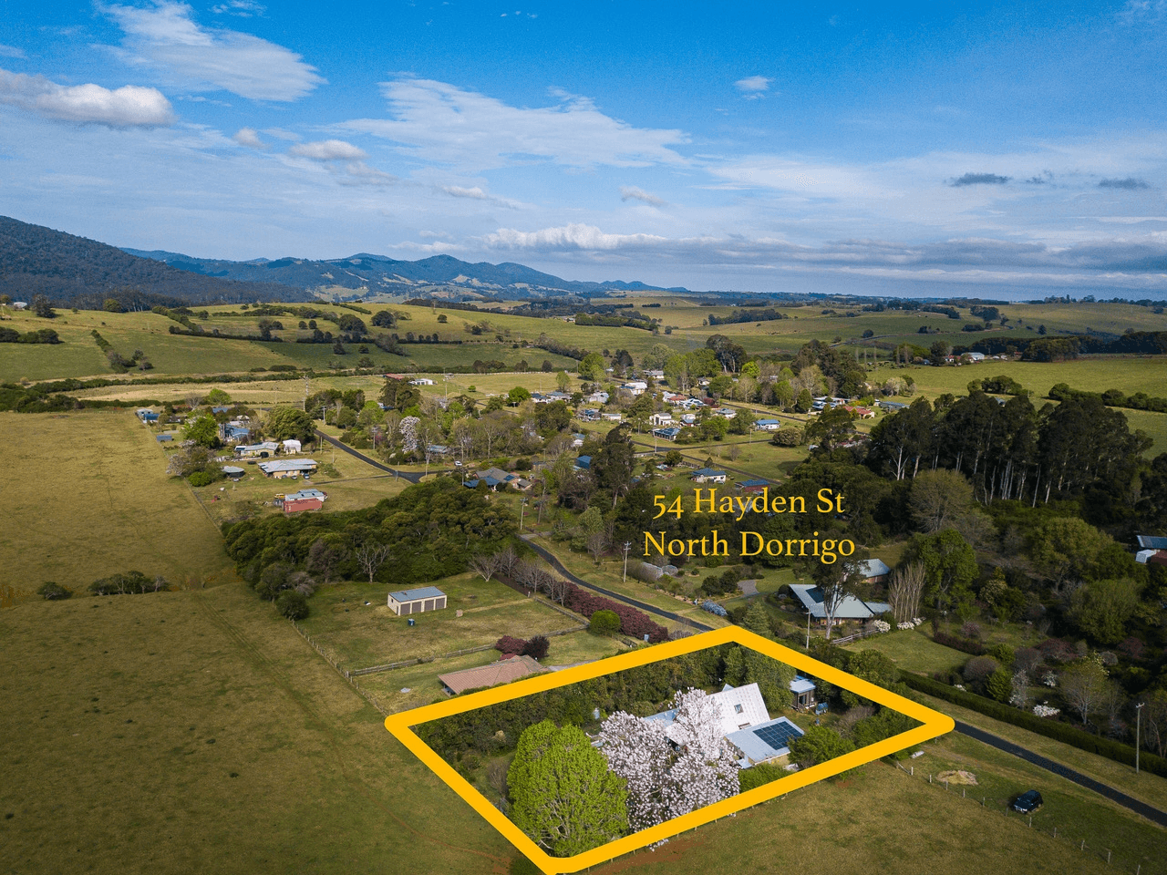 54 Hayden Street, North Dorrigo, NSW 2453