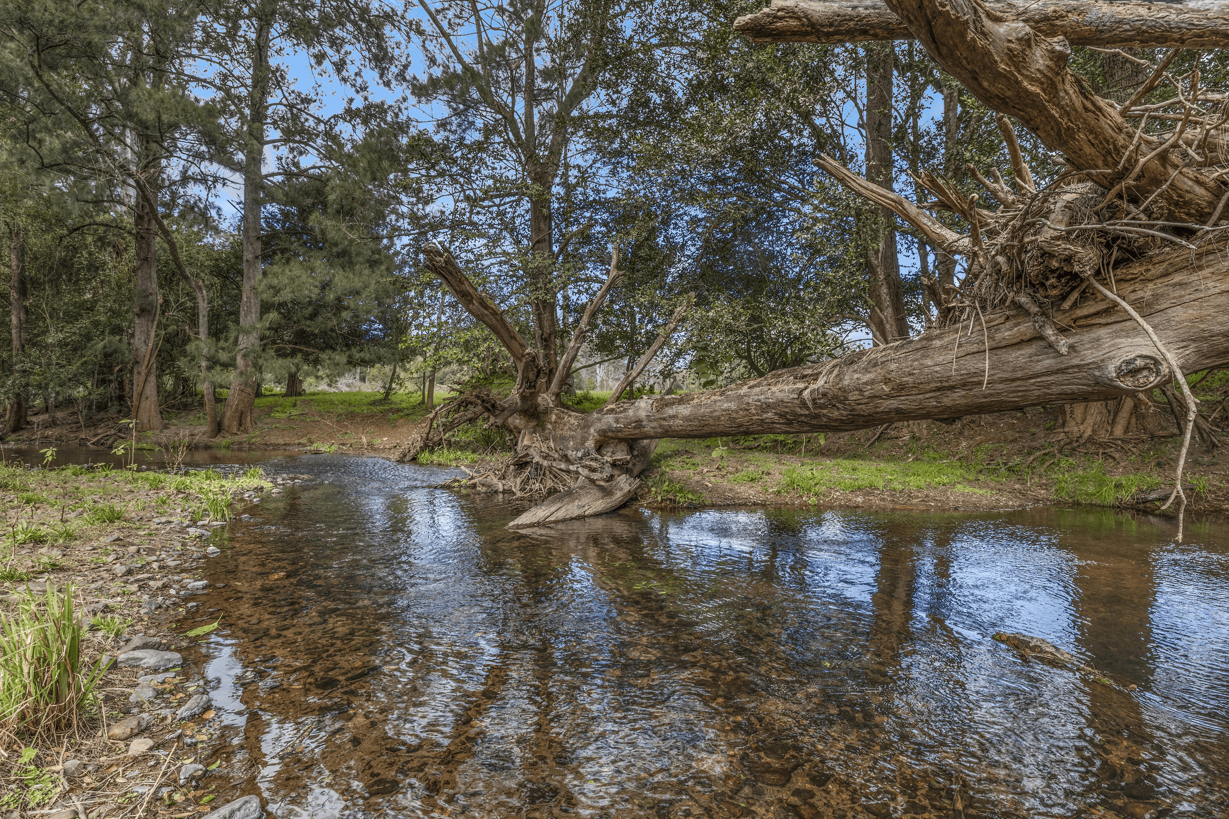 89 McMillans Road, ELLENBOROUGH, NSW 2446