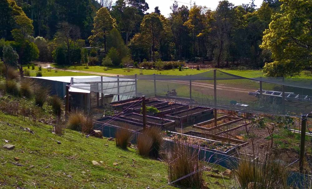 101 Stinging Nettle Gully Road, MOLESWORTH, TAS 7140