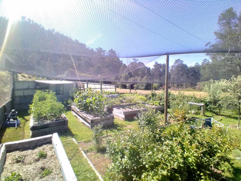 101 Stinging Nettle Gully Road, MOLESWORTH, TAS 7140