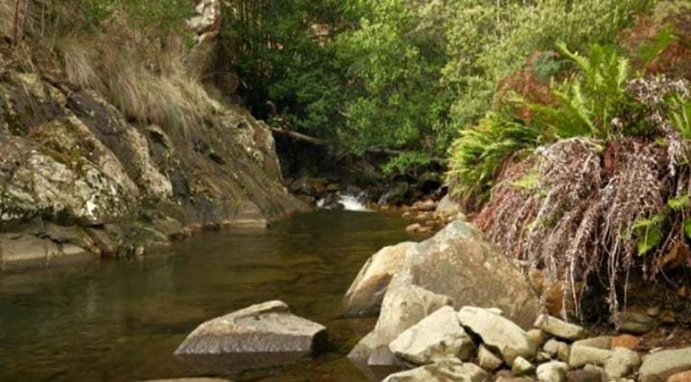 101 Stinging Nettle Gully Road, MOLESWORTH, TAS 7140