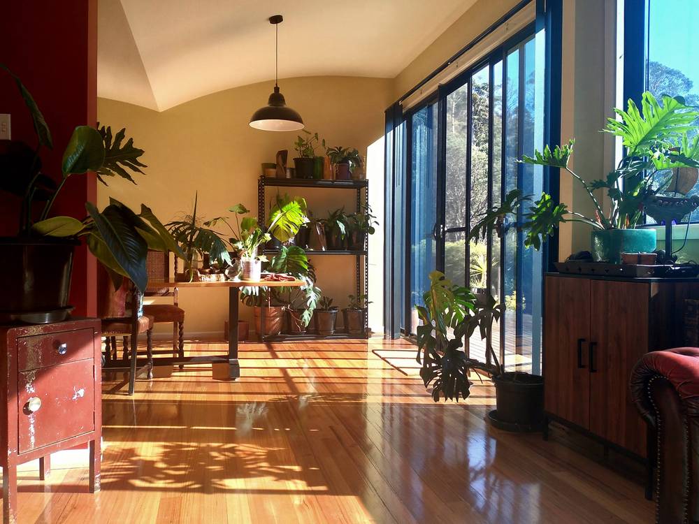 101 Stinging Nettle Gully Road, MOLESWORTH, TAS 7140
