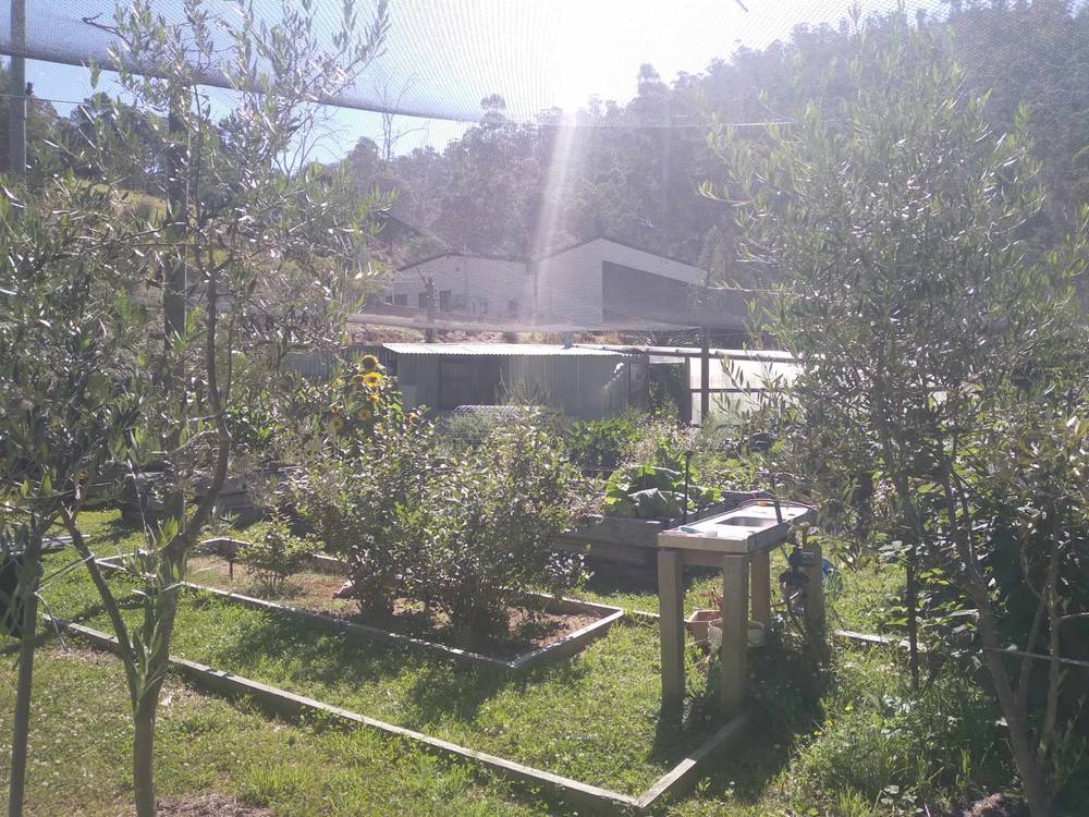 101 Stinging Nettle Gully Road, MOLESWORTH, TAS 7140