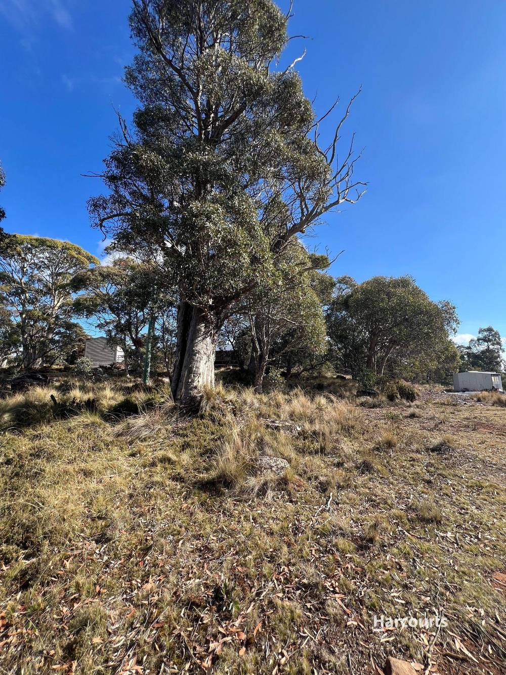 59 Jones Road, MIENA, TAS 7030