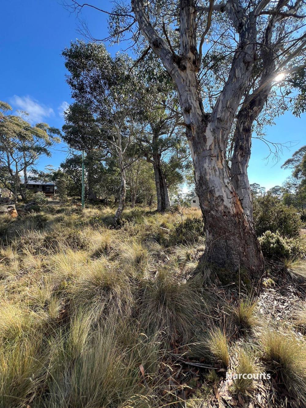 59 Jones Road, MIENA, TAS 7030