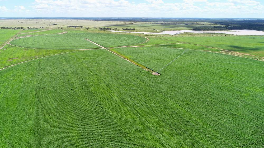 0 Widgewa Road, CALINGUNEE, QLD 4390