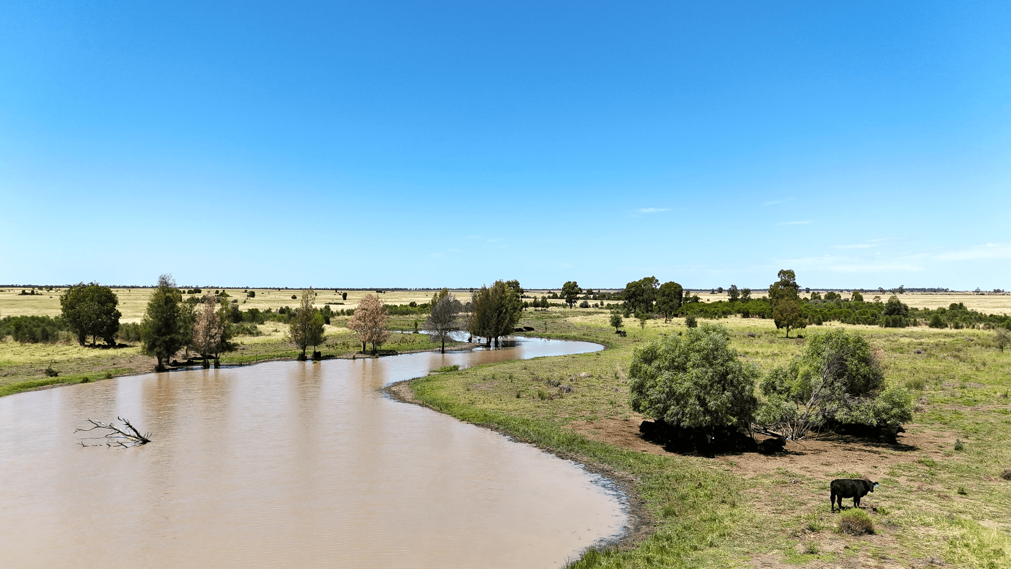 0 Widgewa Road, CALINGUNEE, QLD 4390