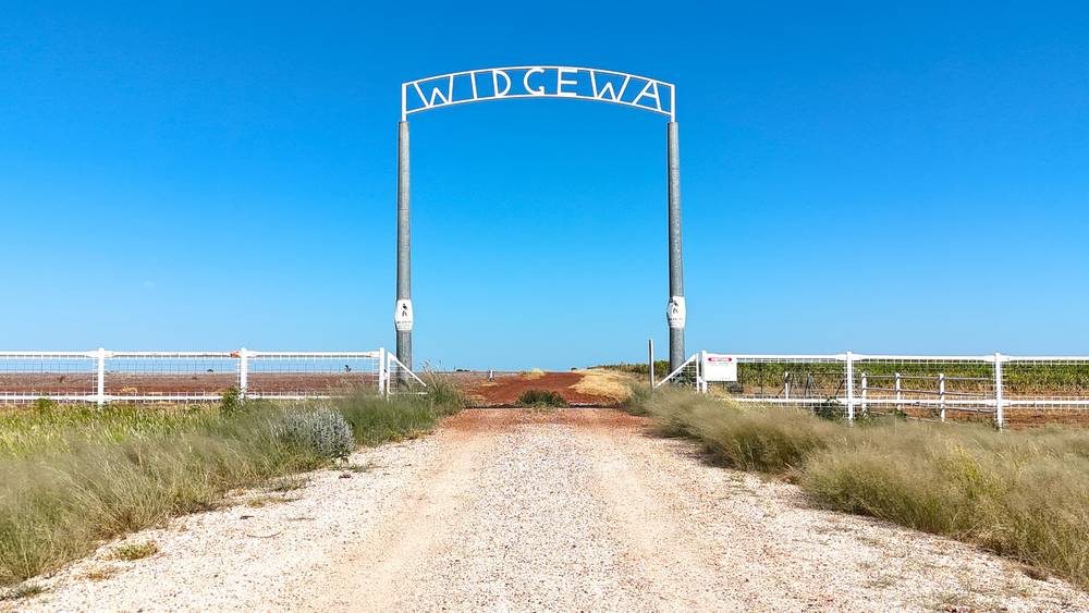 0 Widgewa Road, CALINGUNEE, QLD 4390