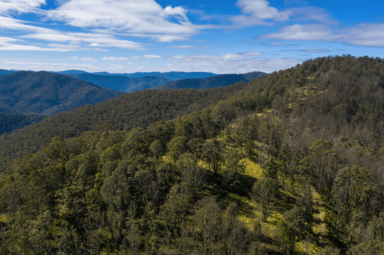 Lot 78 McPhersons Country Estate, Enfield Range Road, CELLS RIVER, NSW 2424