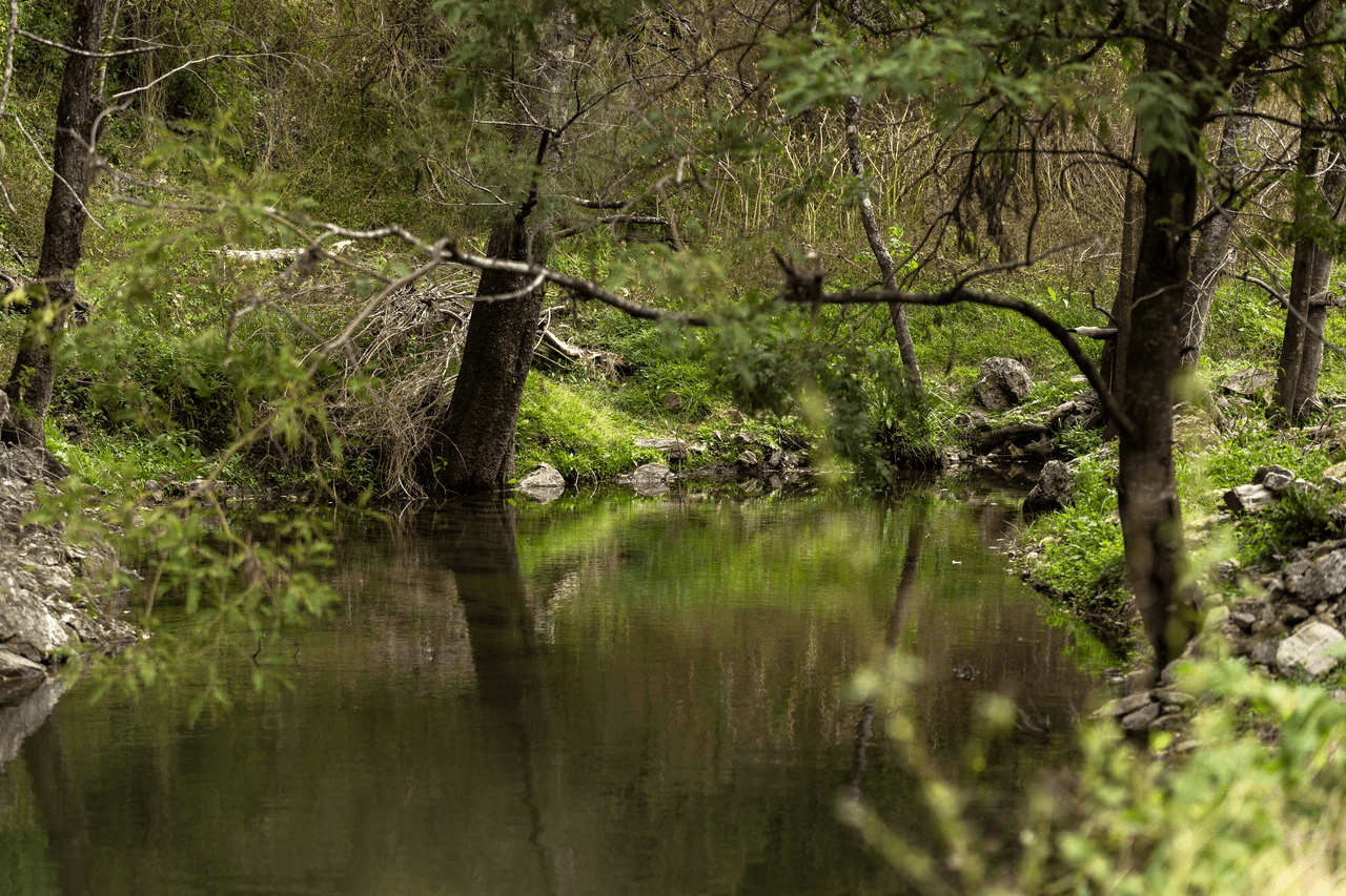 Lot 78 McPhersons Country Estate, Enfield Range Road, CELLS RIVER, NSW 2424