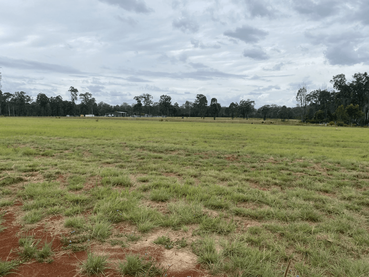 Lot 193 Premier Drive, KINGAROY, QLD 4610