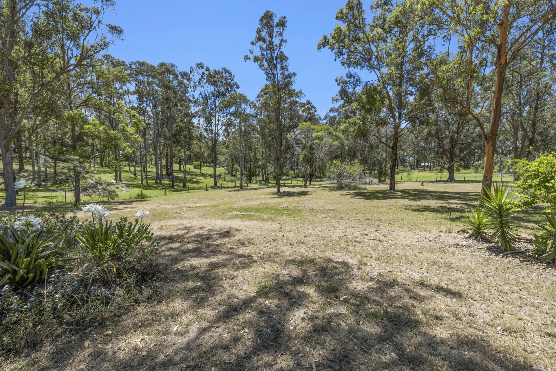 40 Old Pipers Creek Road, Dondingalong, NSW 2440