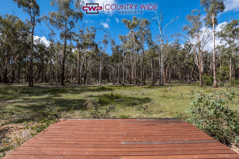 1261E Ten Mile Road, DEEPWATER, NSW 2371