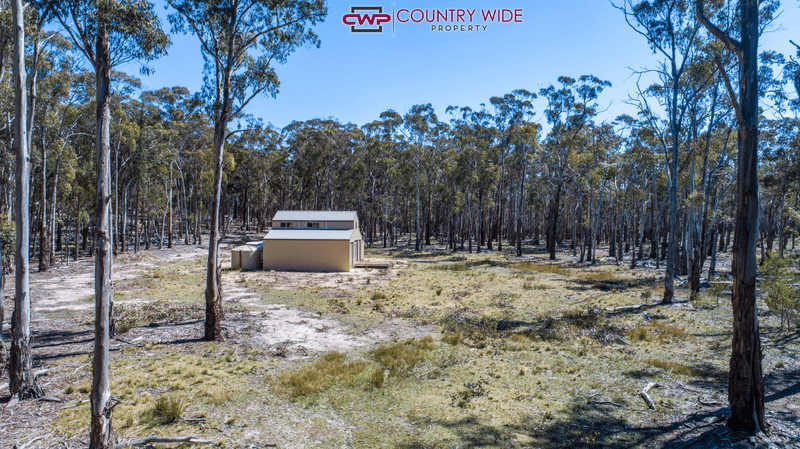 1261E Ten Mile Road, DEEPWATER, NSW 2371