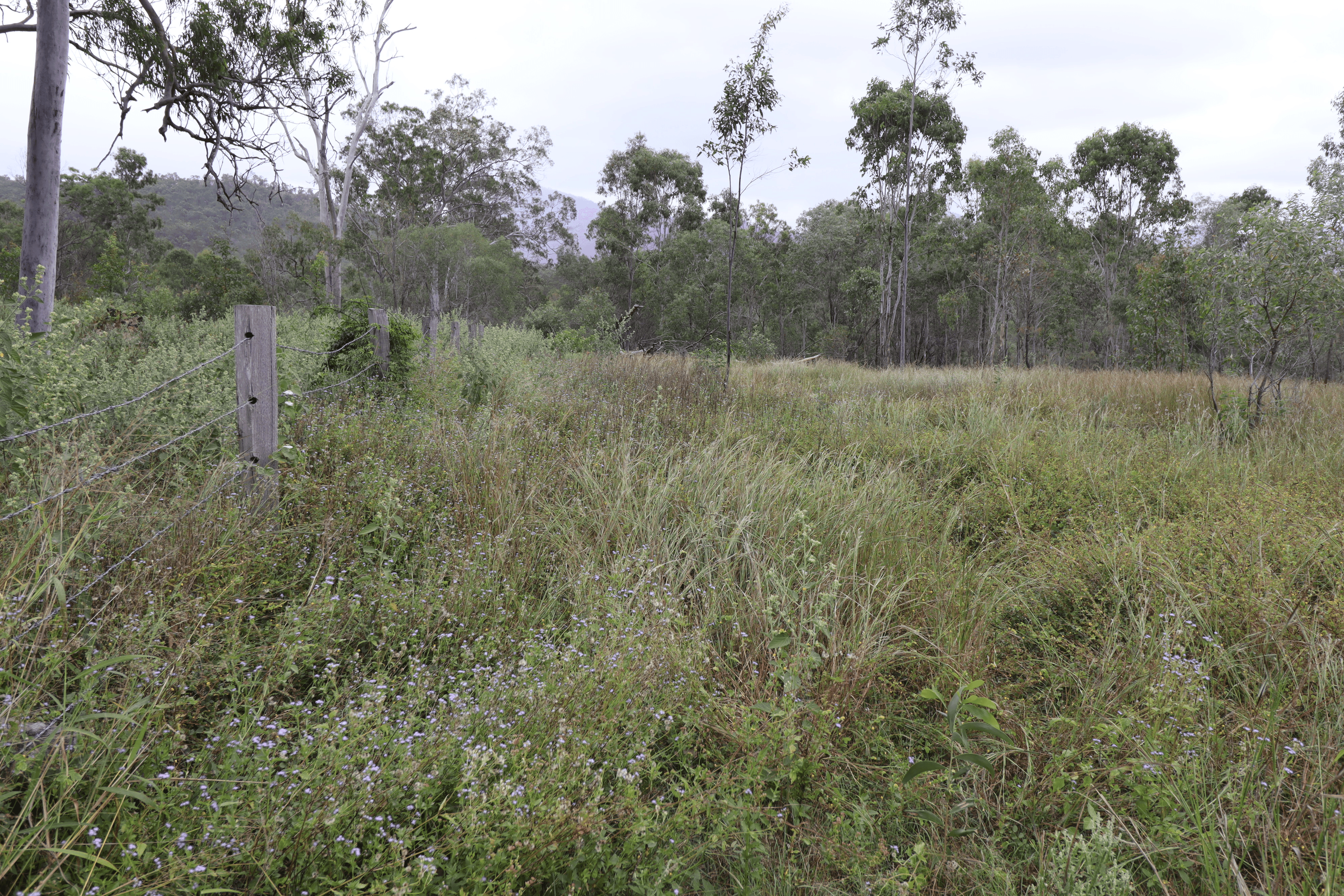 Swindon Road, MOUNT PERRY, QLD 4671