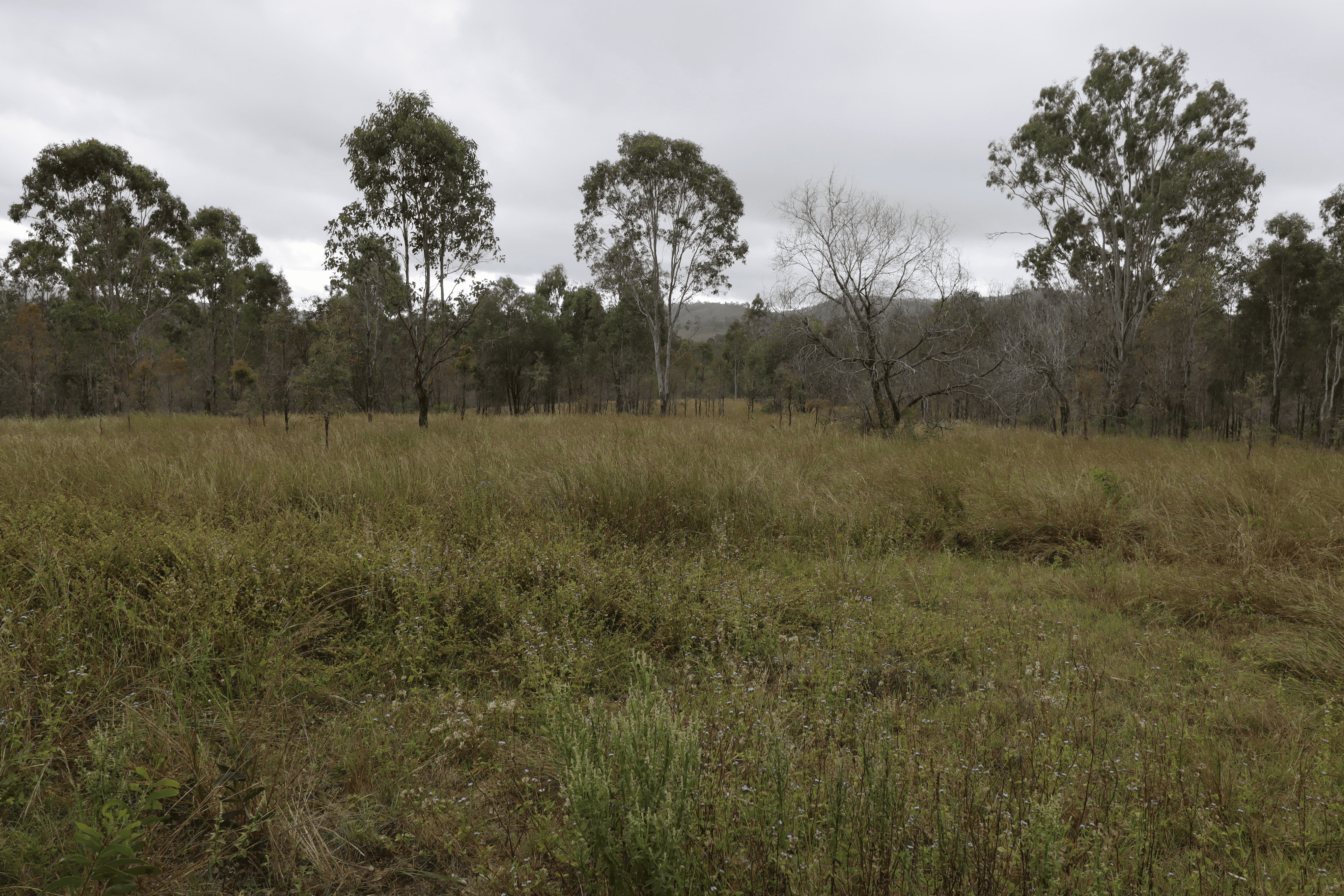 Swindon Road, MOUNT PERRY, QLD 4671