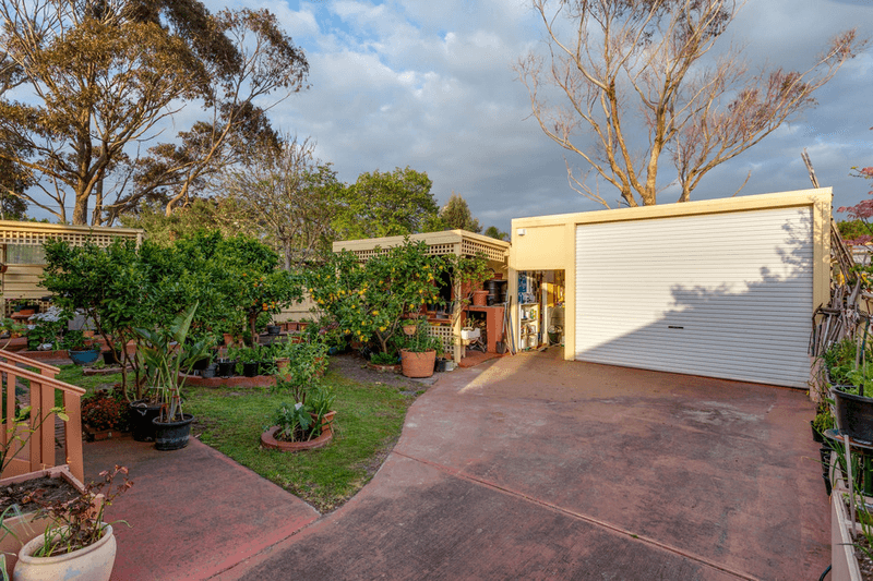 3 Tern Avenue, CAPEL SOUND, VIC 3940