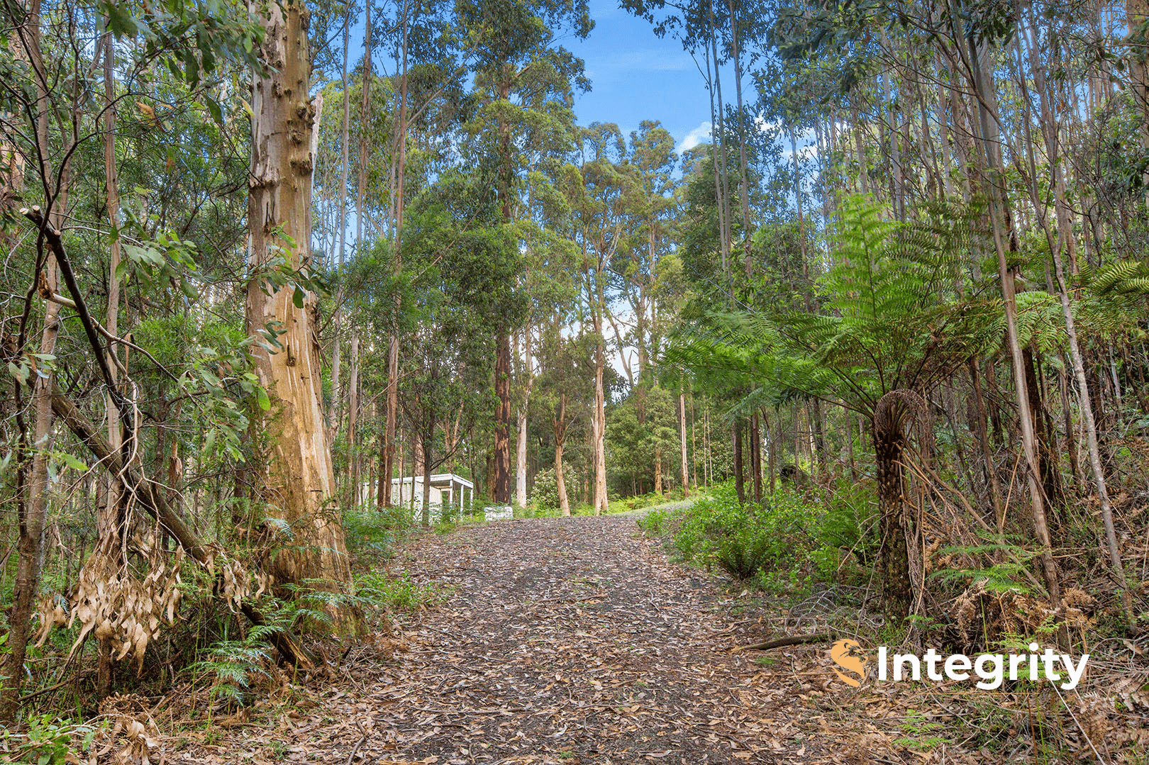 111 Deviation Road, Kinglake Central, VIC 3757