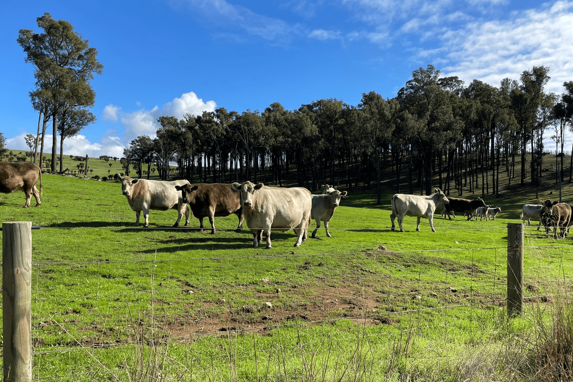 Lot 2062 Chapman Road, Yabberup, WA 6239