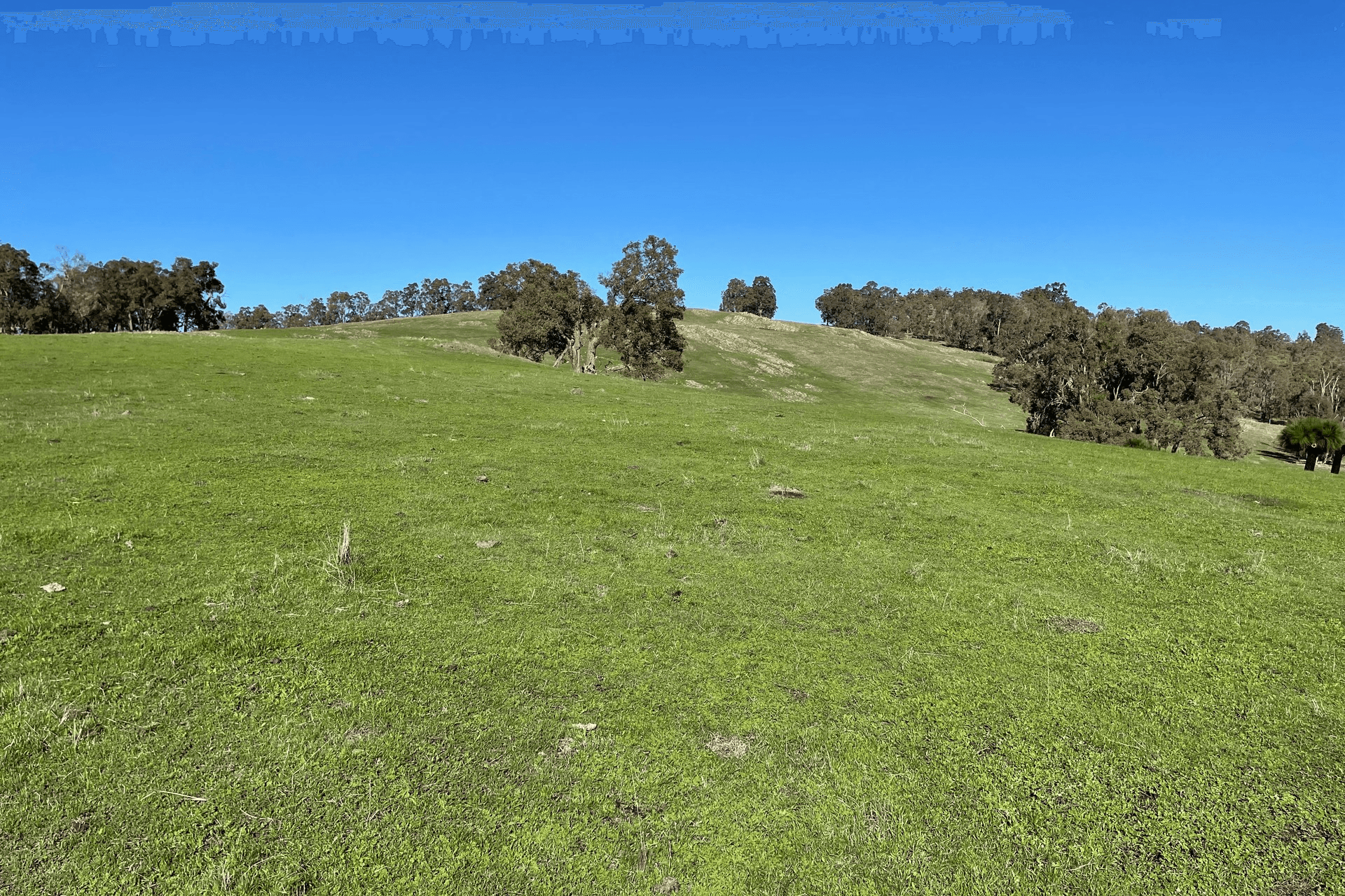 Lot 2062 Chapman Road, Yabberup, WA 6239