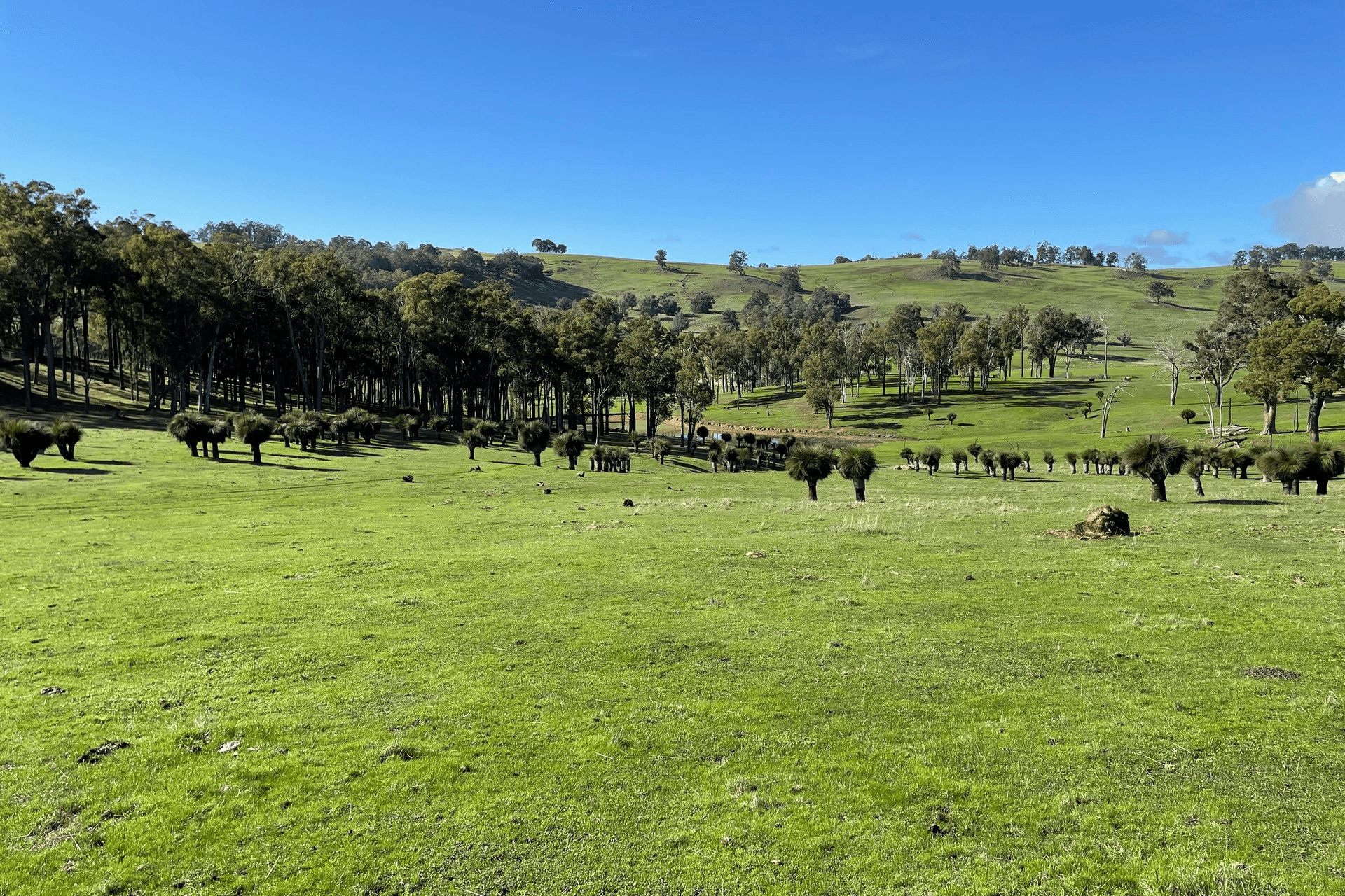 Lot 2062 Chapman Road, Yabberup, WA 6239