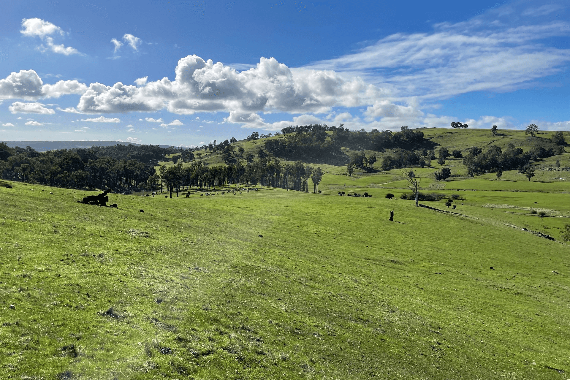 Lot 2062 Chapman Road, Yabberup, WA 6239