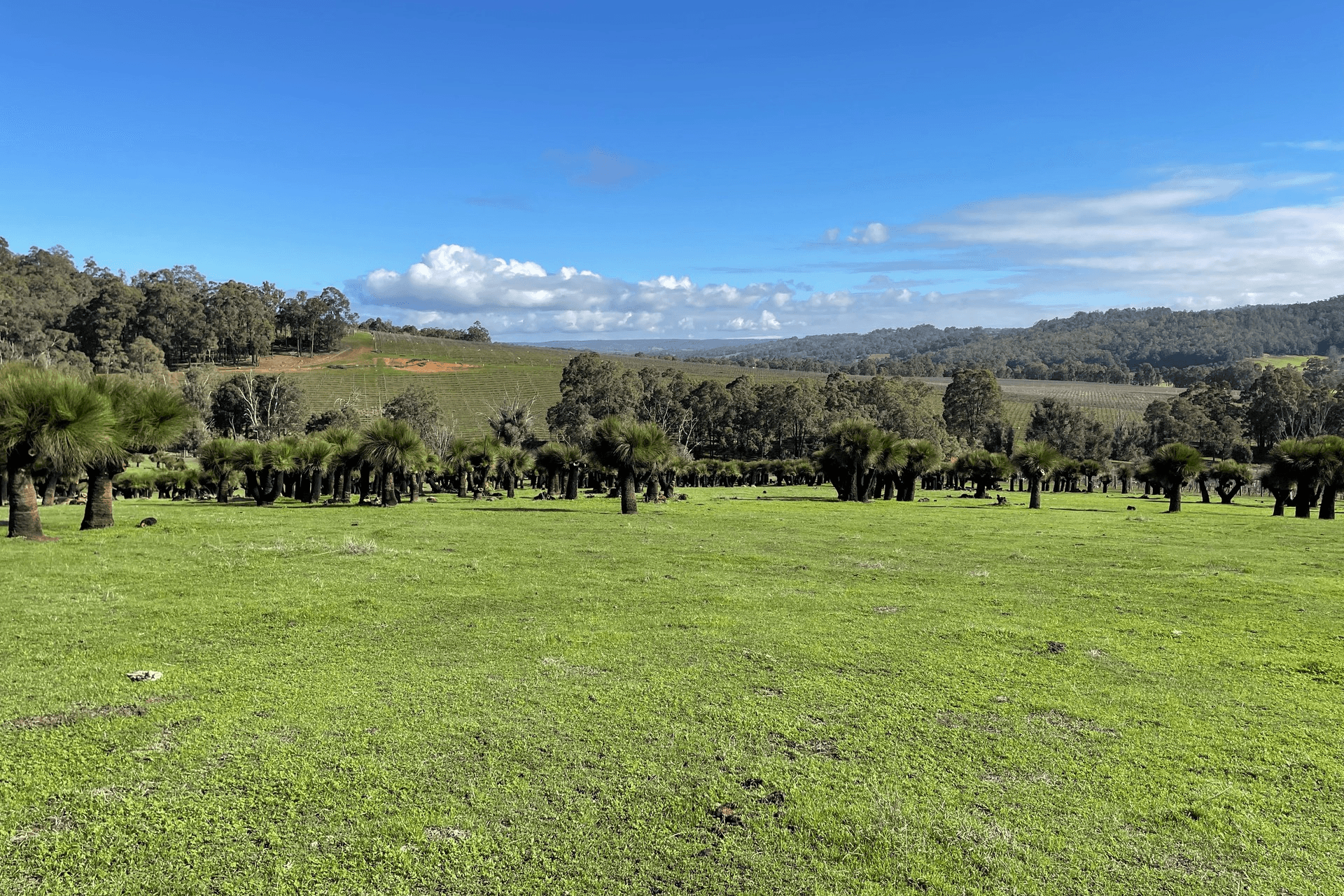 Lot 2062 Chapman Road, Yabberup, WA 6239