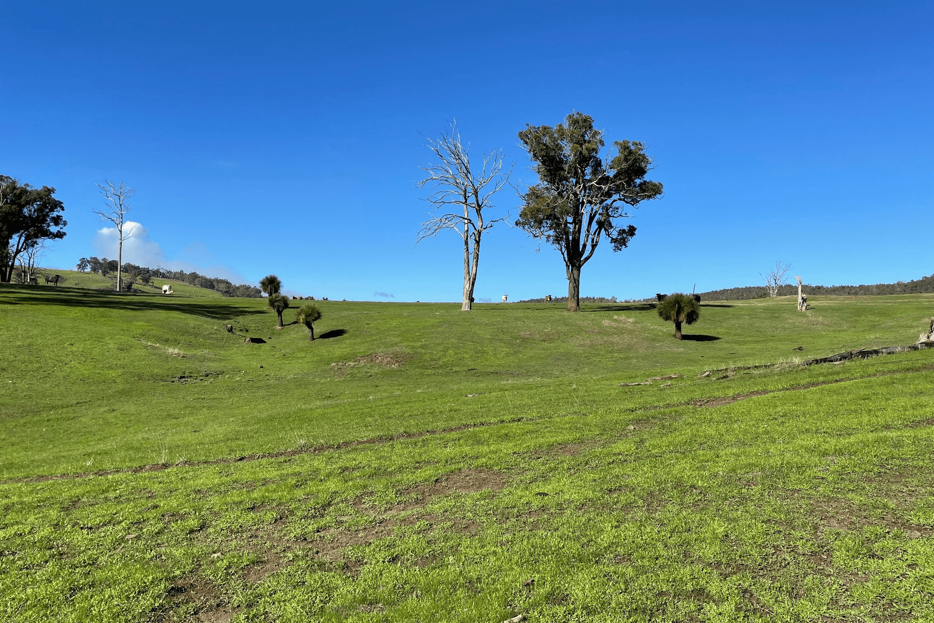 Lot 2062 Chapman Road, Yabberup, WA 6239