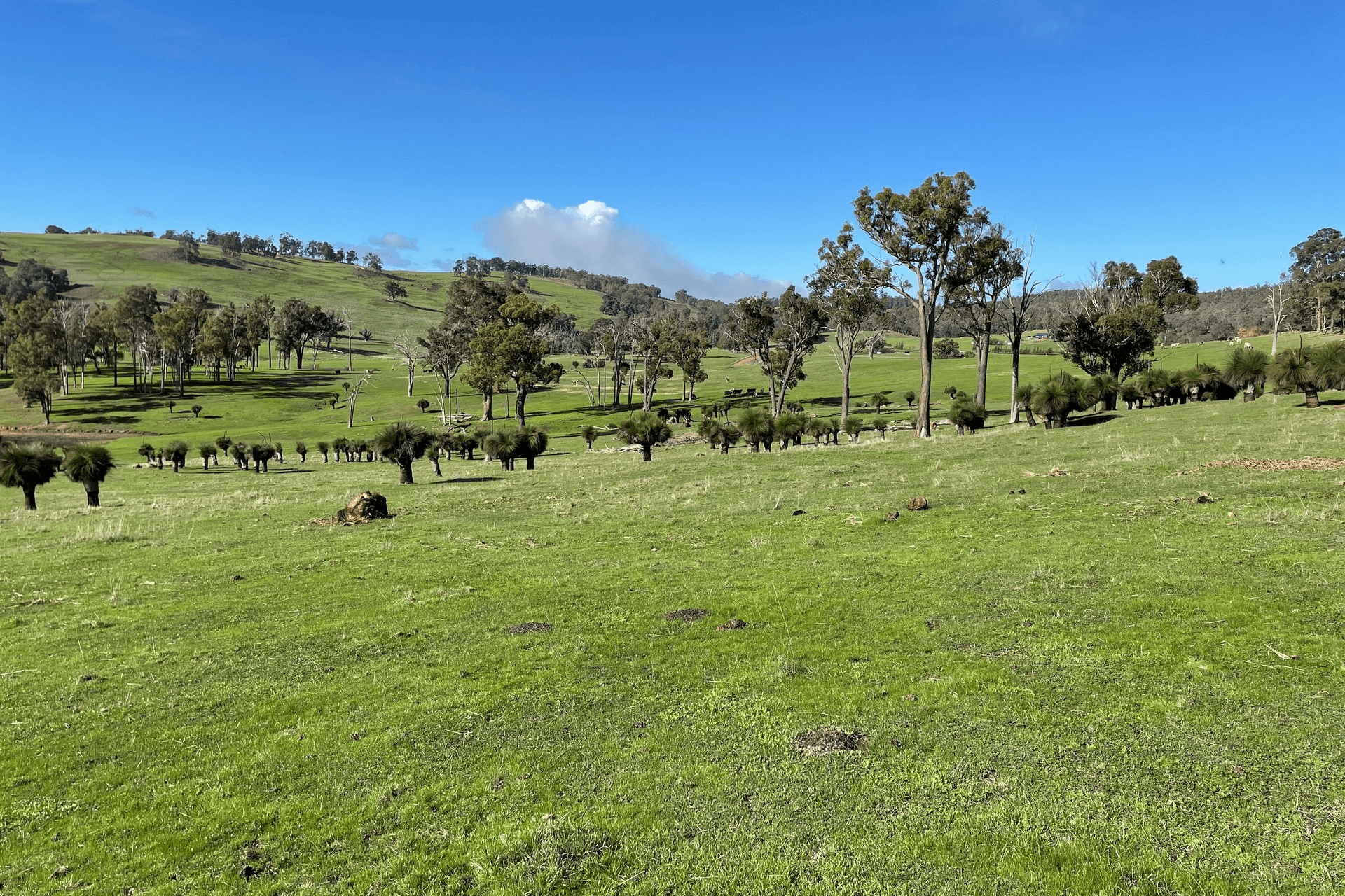 Lot 2062 Chapman Road, Yabberup, WA 6239